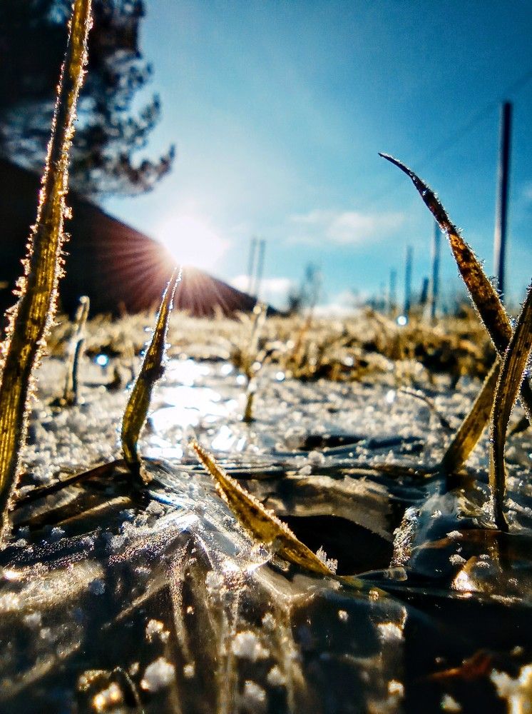 Photograph by Анастасия Клопкова