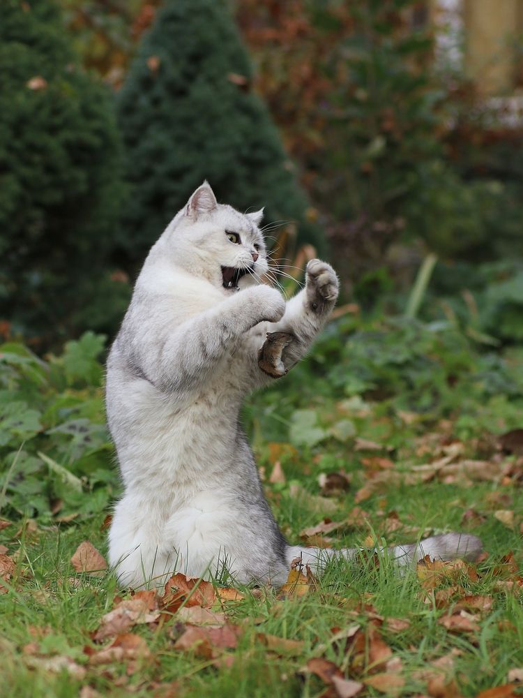 Photograph by Светлана Богомолова