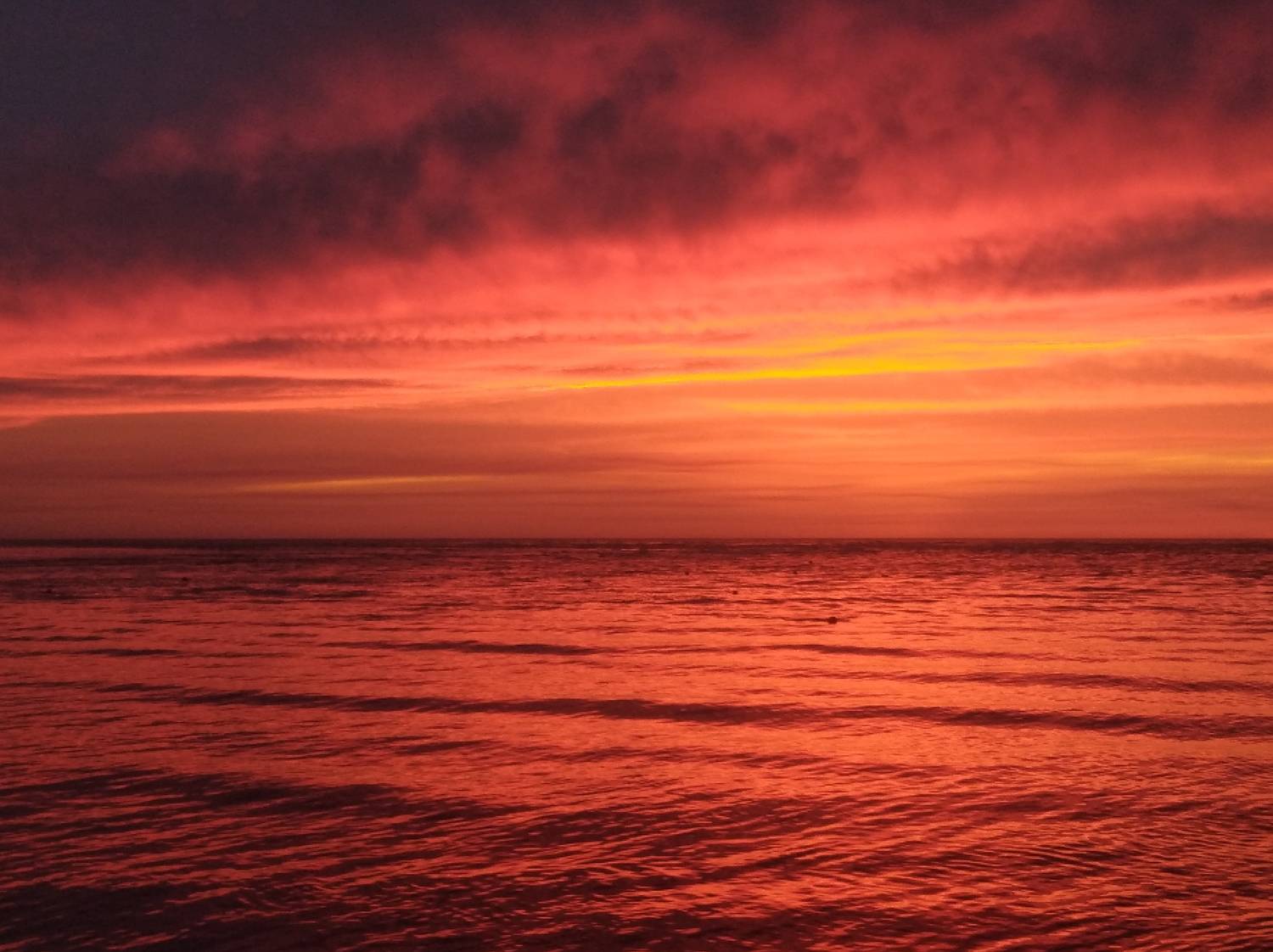Photo #6644244