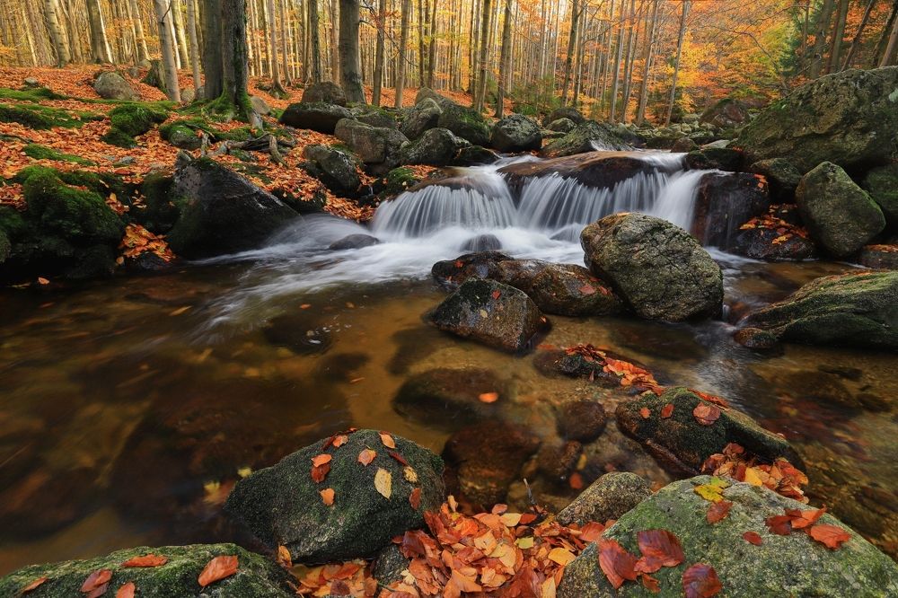 Photograph by Michaela Vinterova