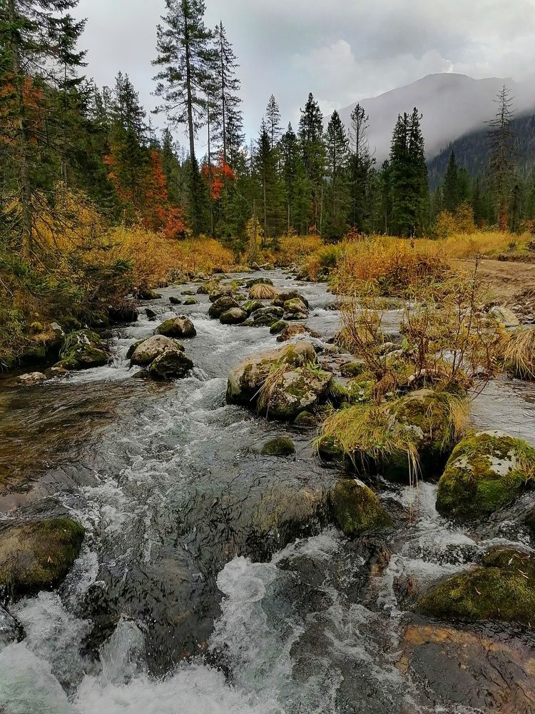 Photograph by Светлана