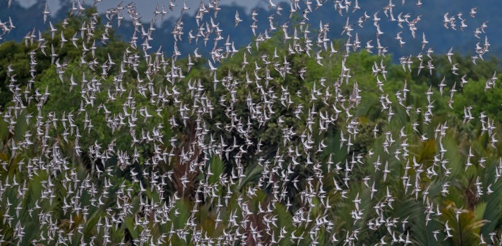 Photograph by NUR AZIMAH THERESA ABDULLAH