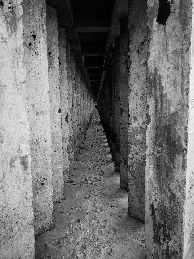 Photograph by Сергей Сластин