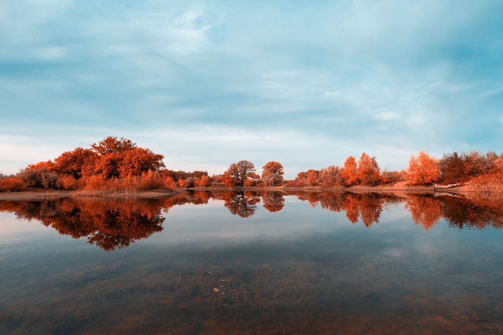 Photograph by 