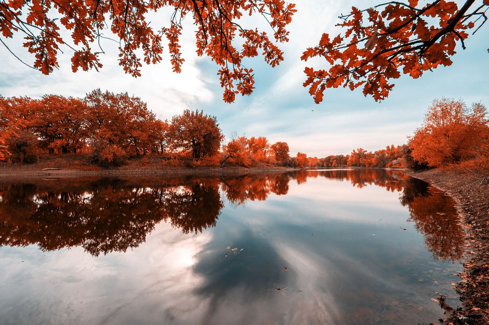 Photograph by 
