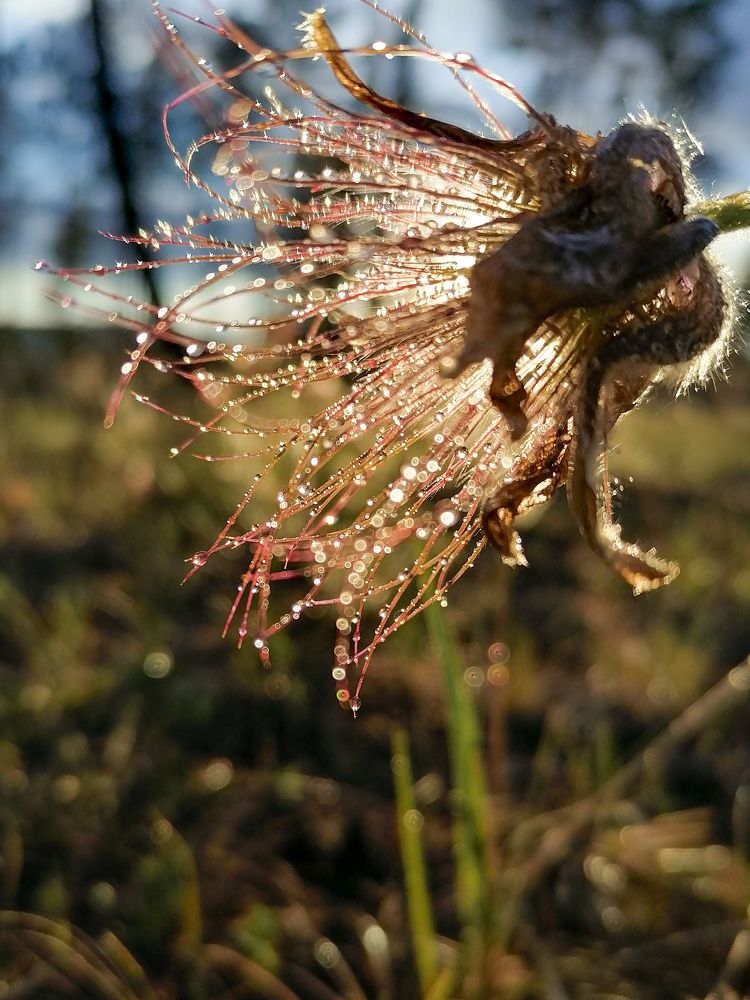 Photograph by Светлана