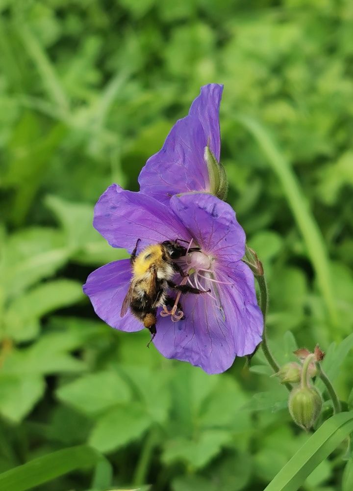 Photograph by Наталия Питолина