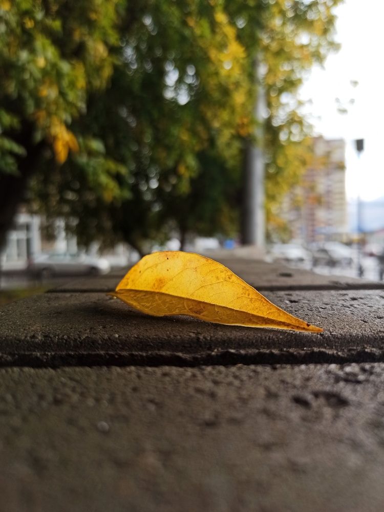 Photograph by Евгения Владимировна