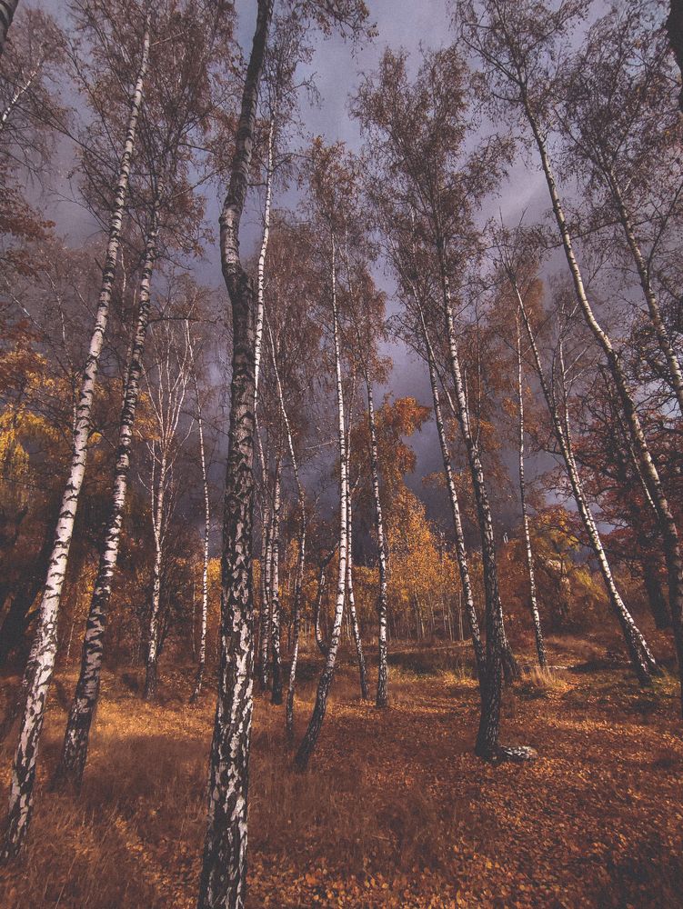 Photograph by Валерия Гончарова-Горобченко
