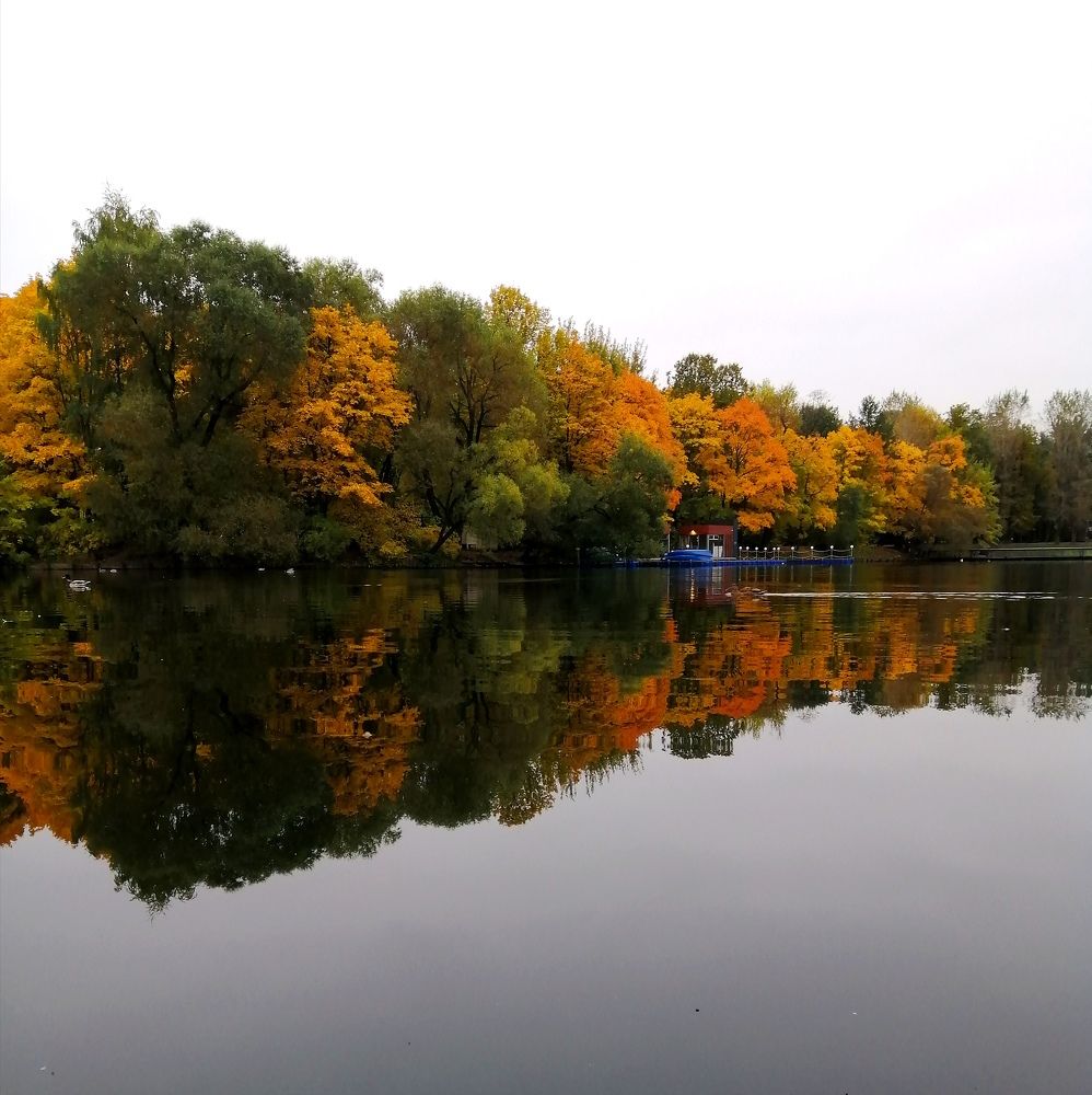 Photograph by Светлана Веселовская