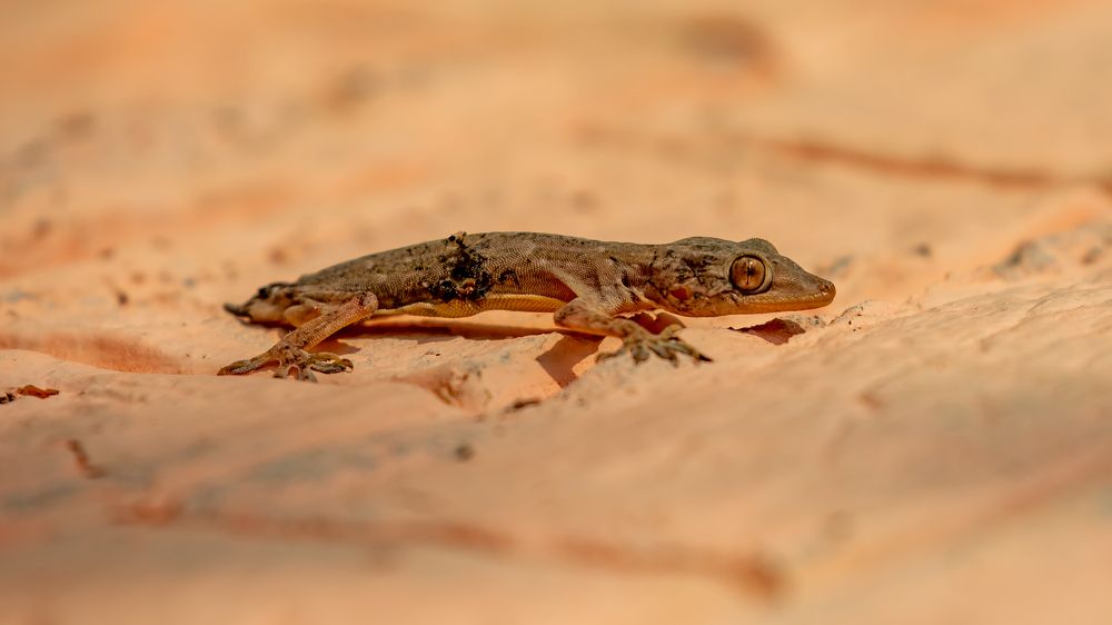 Photograph by Farrukh Siddiqi