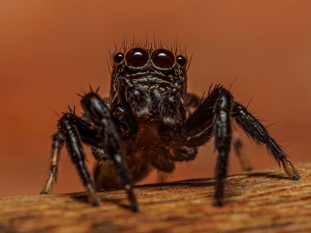 Photograph by Venkat Mangudi