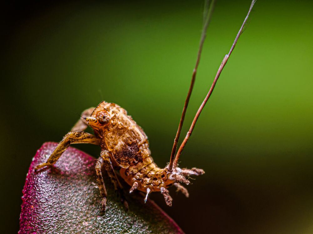 Photograph by Venkat Mangudi