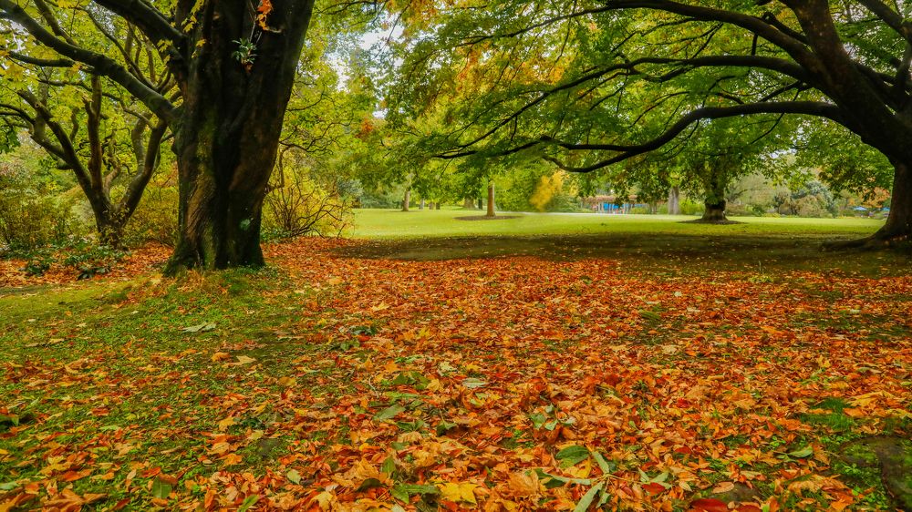 Photograph by Farrukh Siddiqi