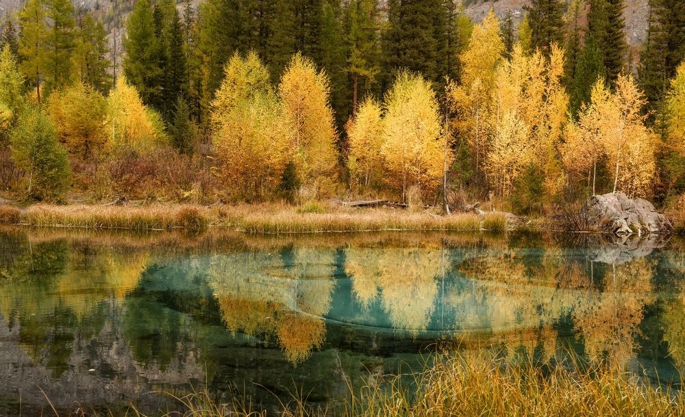 Photograph by Марина Фомина