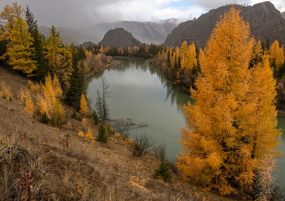 Photograph by Марина Фомина