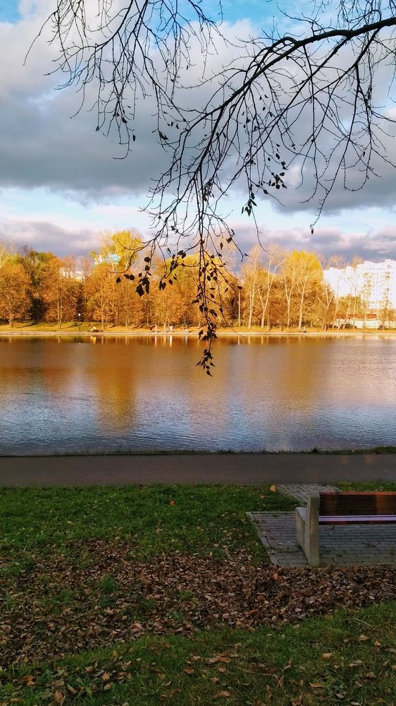 Photograph by Natalie Dmay