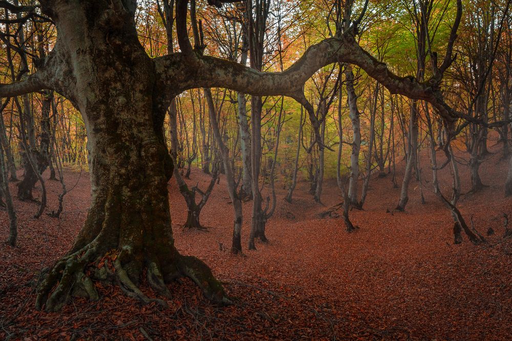 Photograph by Mahdi Noormohammadi