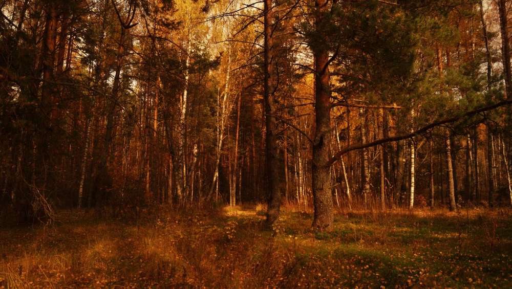 Photograph by Веденин Егор