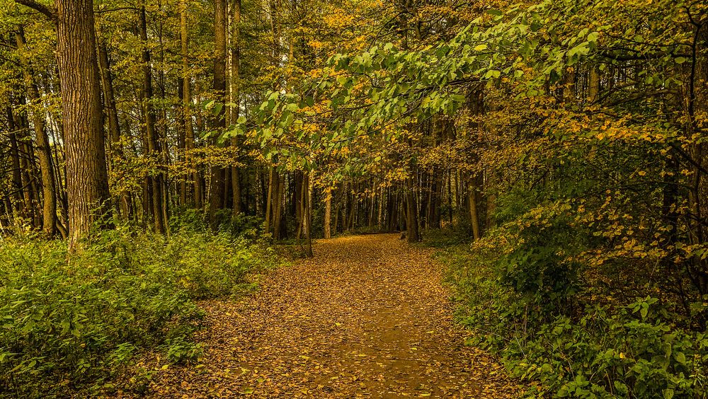 Photograph by Максим Комиссаров