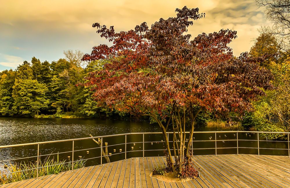 Photograph by Максим Комиссаров