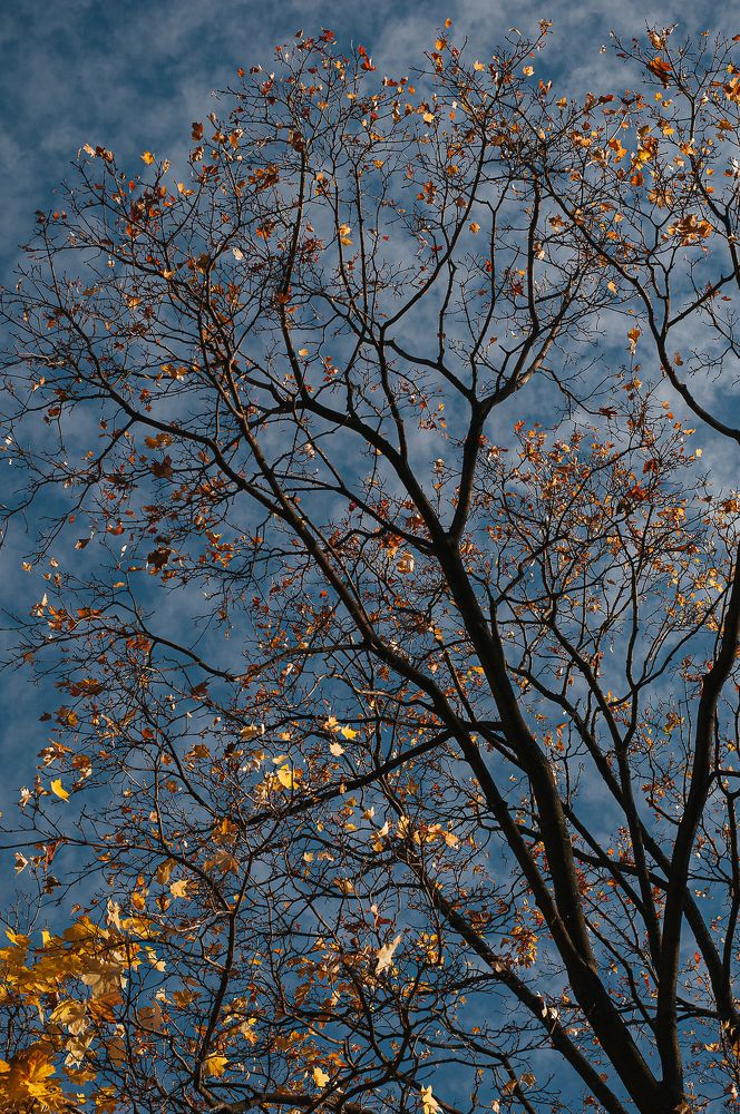 Photograph by Татьяна Зубехина