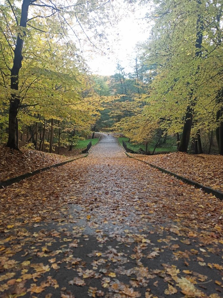 Photograph by Анна Марщикова