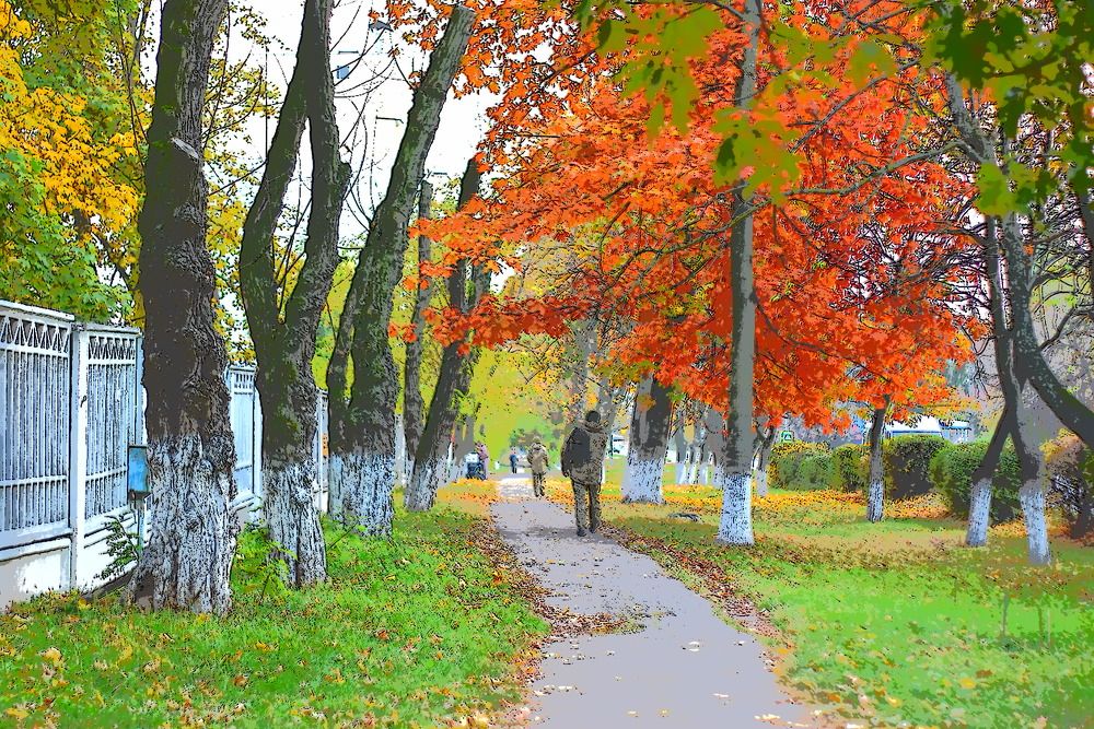 Photograph by Виталий Кощей