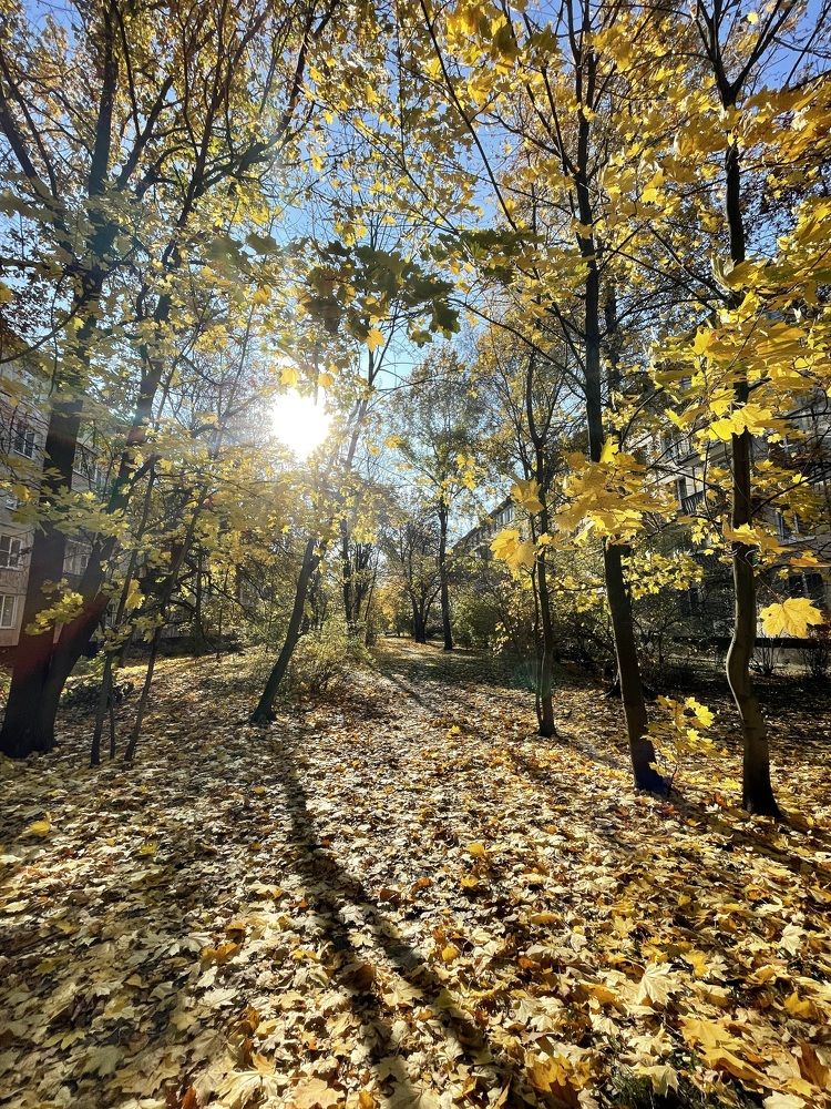 Photograph by Надежда Заломаева