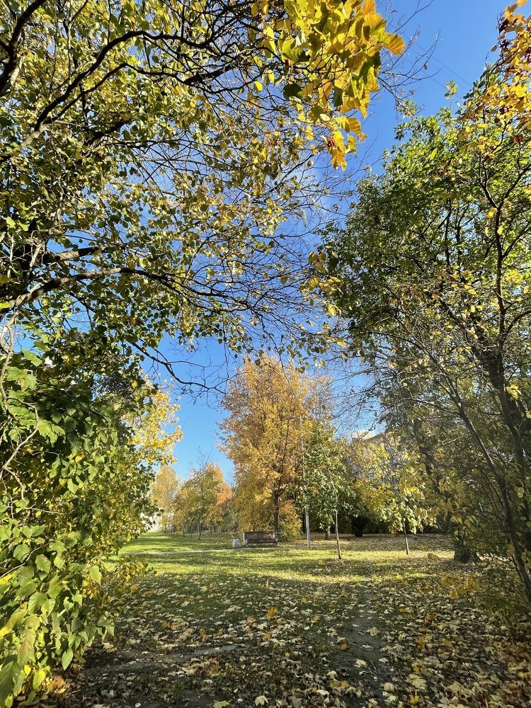 Photograph by Надежда Заломаева