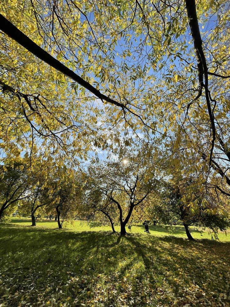 Photograph by Надежда Заломаева