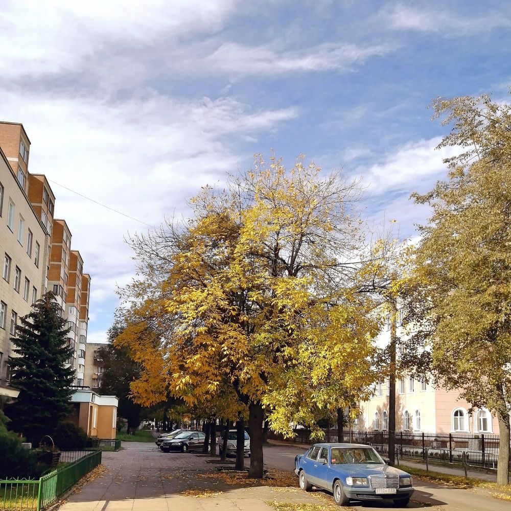 Фотография автора Ratsam