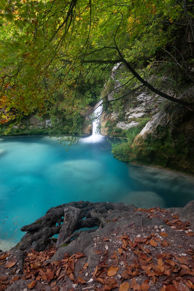 Фотография автора Laura Baratas