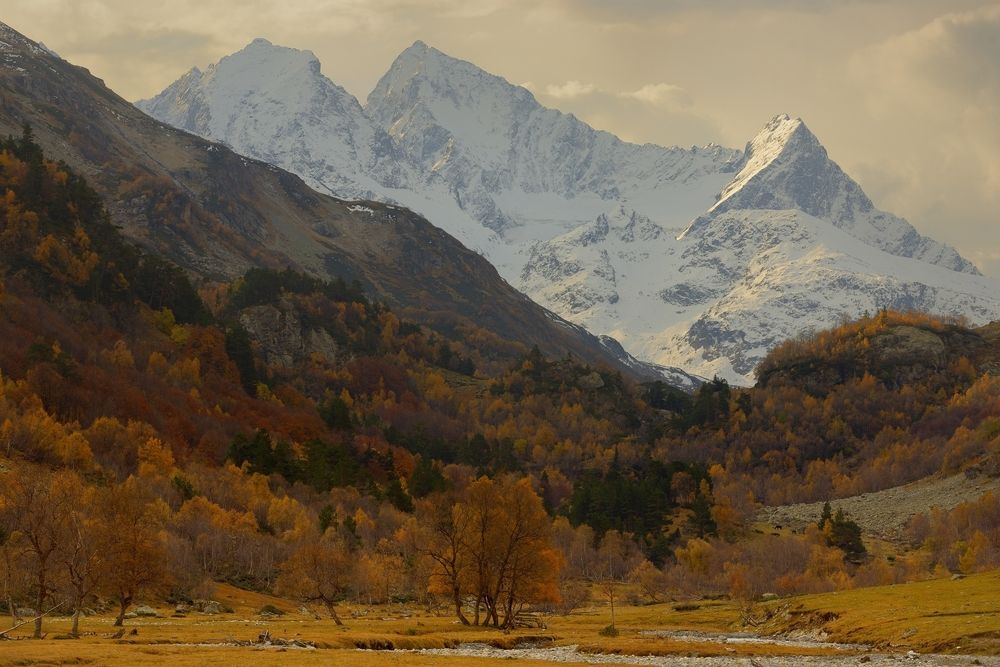 Осеннее утро