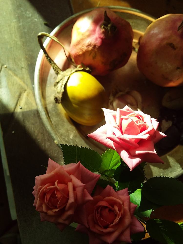 Photograph by Анастасия Кичигина