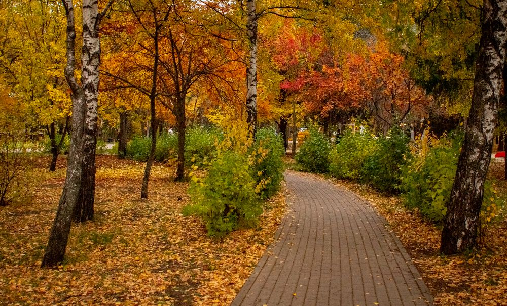 Photograph by Ирина Крепак