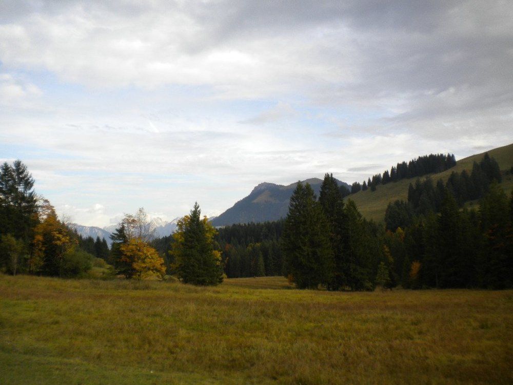 Photo #6644898