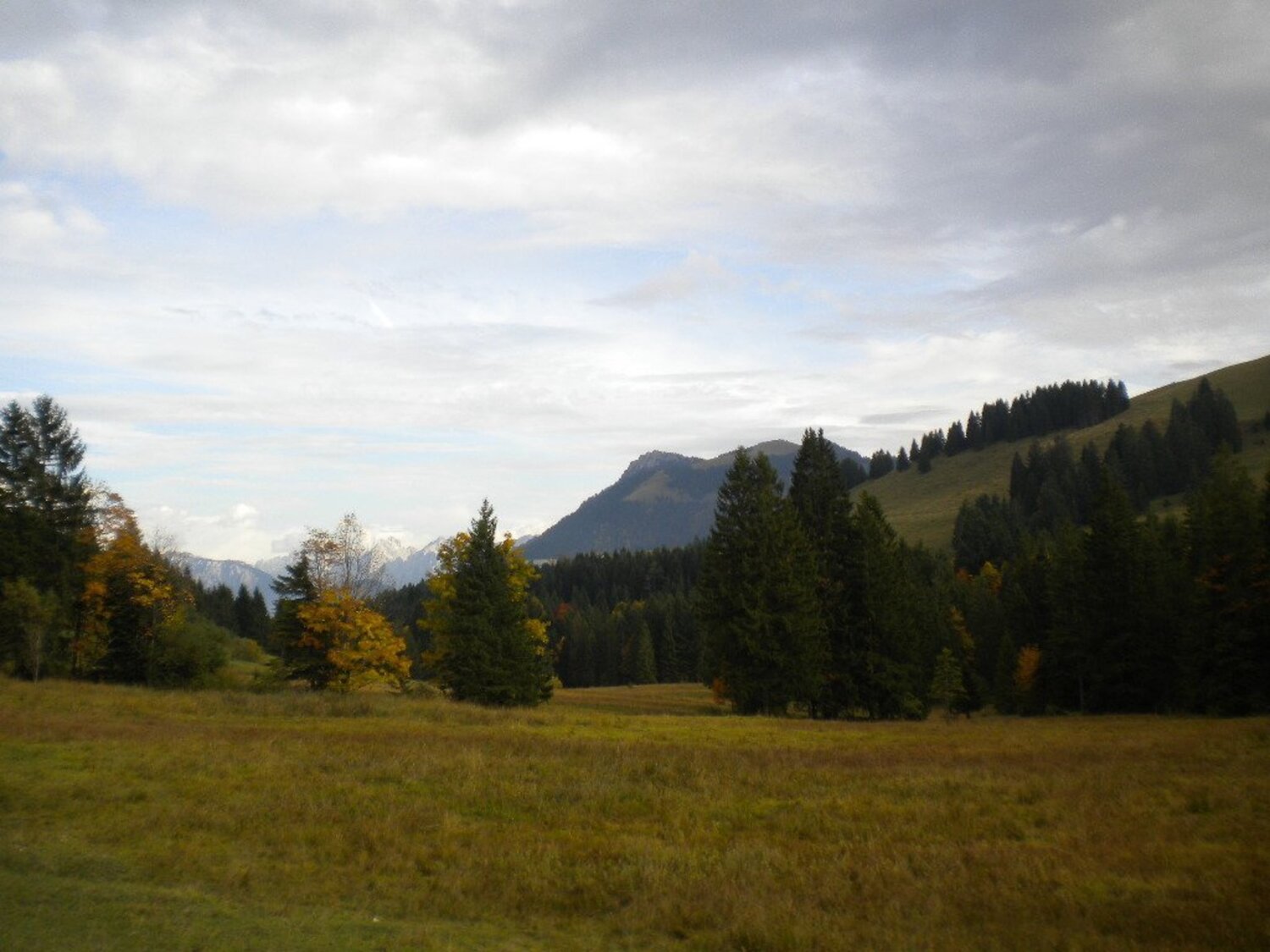 Photo #6644898