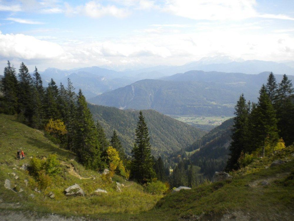 Photo #6644905