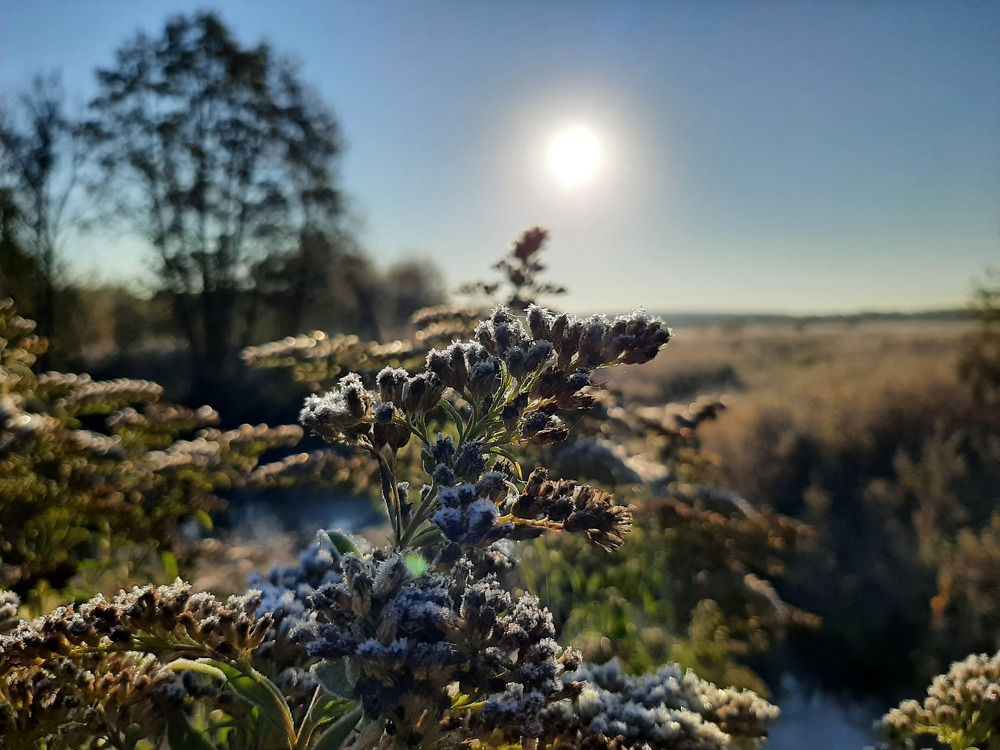 Photograph by Анастасия Зенкина