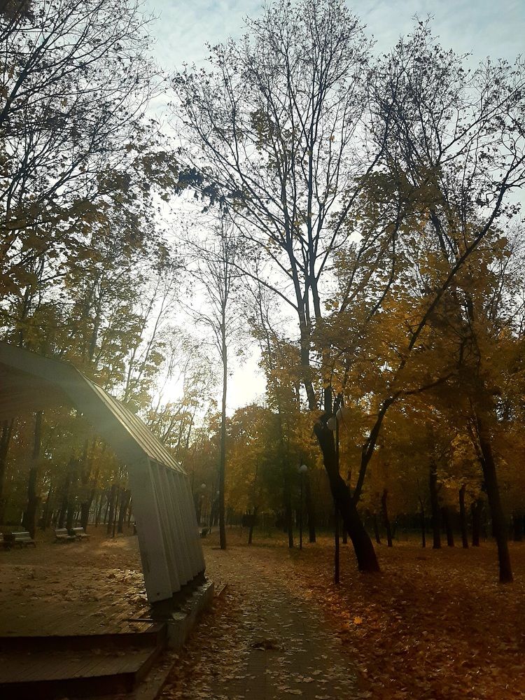 Photograph by Анастасия Зенкина