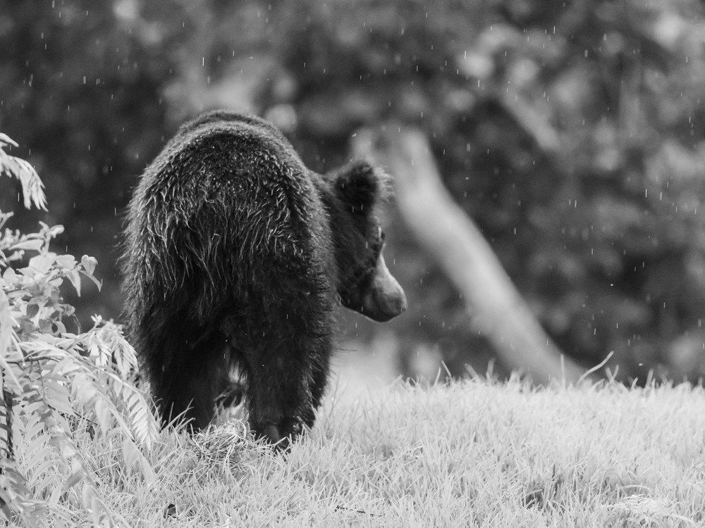 Photograph by Venkat Mangudi