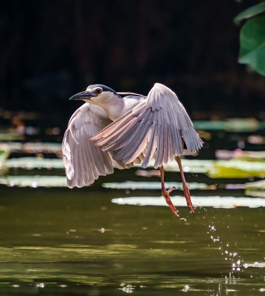 Photograph by TRUONG DINH