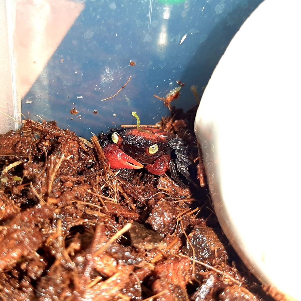 Photograph by Анастасия Зенкина