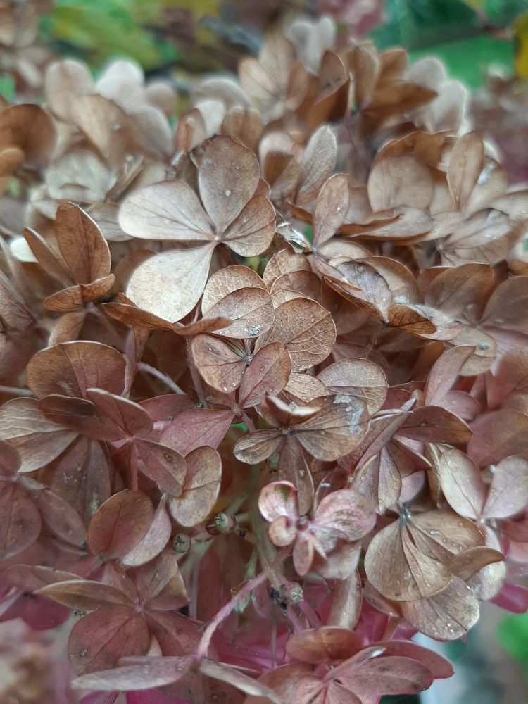 Photograph by Анастасия Зенкина