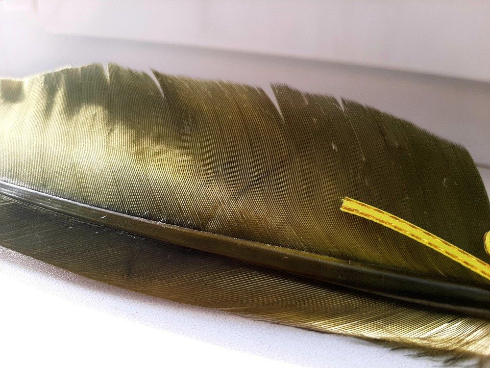 Photograph by Анастасия Зенкина