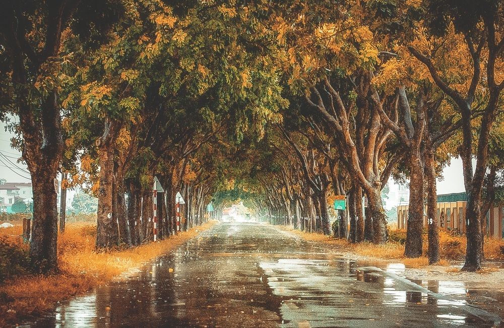 Photograph by Lien Nguyen