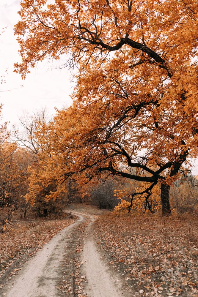 Photograph by Алеся Бутакова