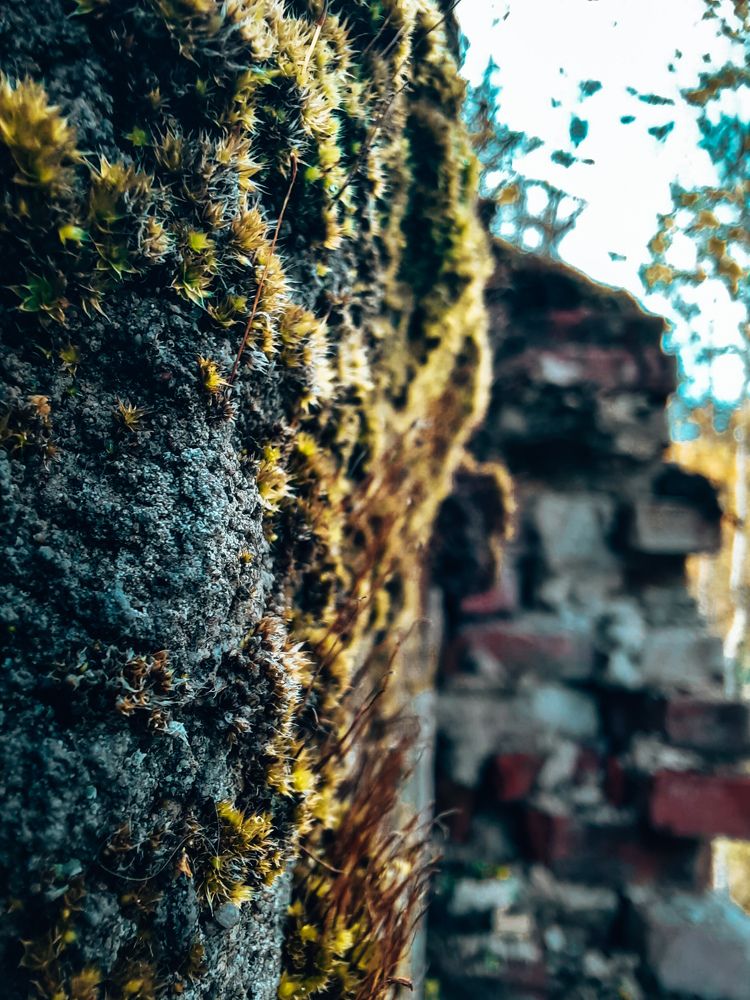 Photograph by Анастасия Кравченко