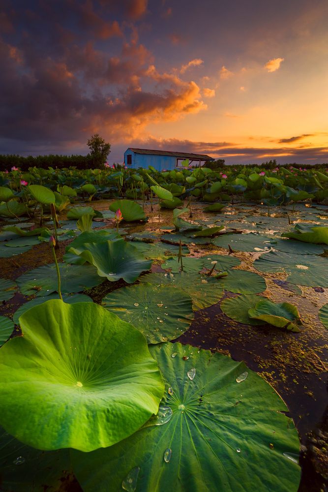 Photograph by Saeed Mamdouhi